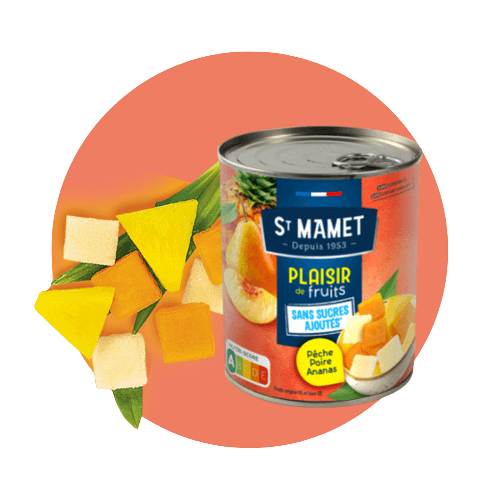 P'tit Onctueux Mangue Ananas Sans Sucres Ajoutés* (4x90g)